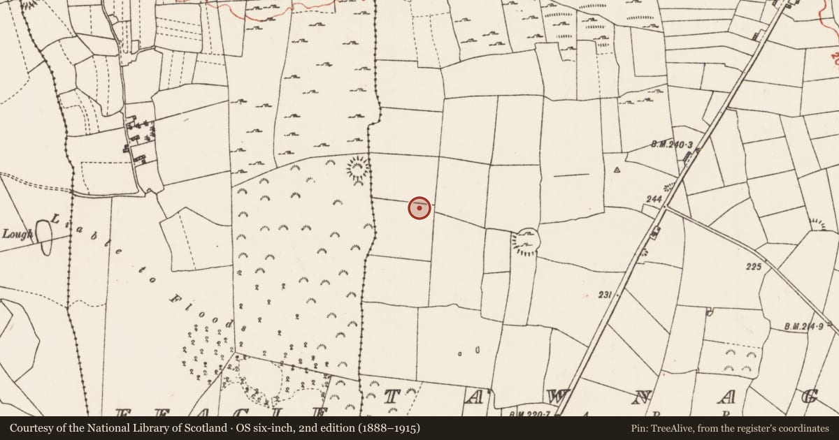 Ordnance Survey six-inch map, 2nd edition (1888–1915) covering the location of Ringfort - cashel, Tawnagh, County Roscommon, with a pin at the register's coordinates