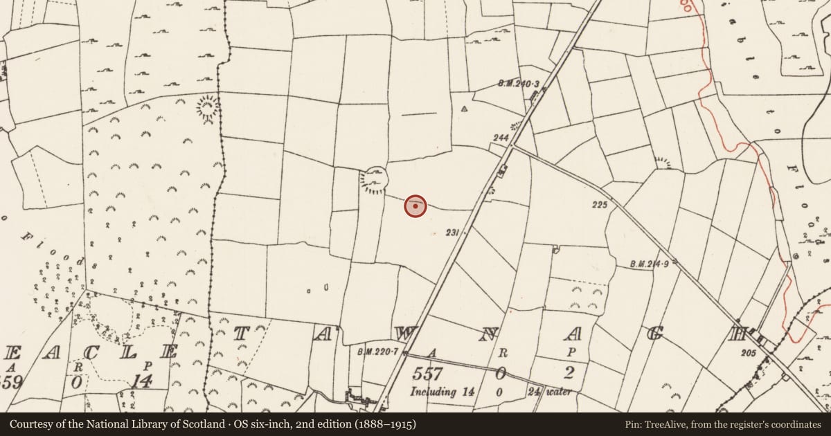Ordnance Survey six-inch map, 2nd edition (1888–1915) covering the location of Ringfort - cashel, Tawnagh, County Roscommon, with a pin at the register's coordinates