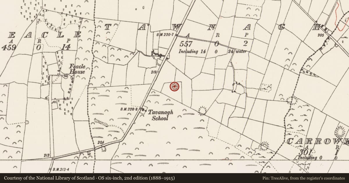 Ordnance Survey six-inch map, 2nd edition (1888–1915) covering the location of Ringfort - cashel, Tawnagh, County Roscommon, with a pin at the register's coordinates