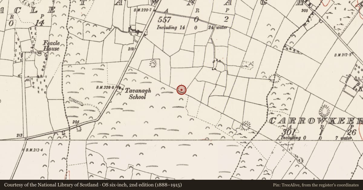 Ordnance Survey six-inch map, 2nd edition (1888–1915) covering the location of Ringfort - cashel, Tawnagh, County Roscommon, with a pin at the register's coordinates