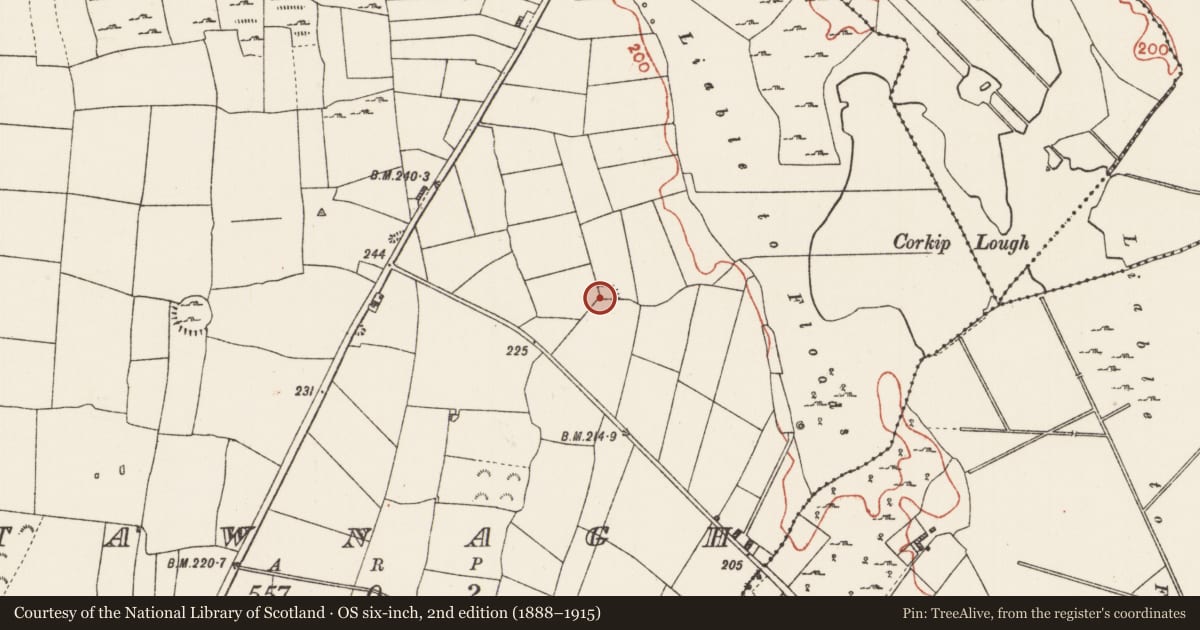 Ordnance Survey six-inch map, 2nd edition (1888–1915) covering the location of Ringfort - cashel, Tawnagh, County Roscommon, with a pin at the register's coordinates