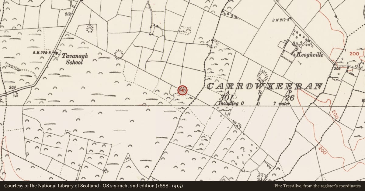 Ordnance Survey six-inch map, 2nd edition (1888–1915) covering the location of Ringfort - cashel, Tawnagh, County Roscommon, with a pin at the register's coordinates