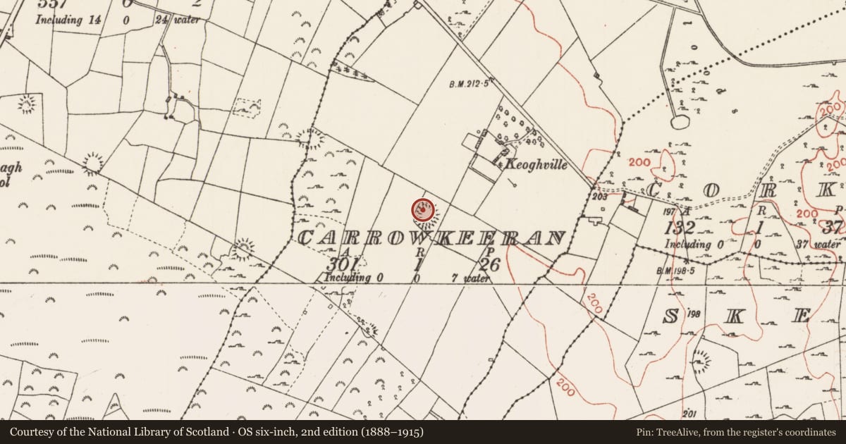 Ordnance Survey six-inch map, 2nd edition (1888–1915) covering the location of House - indeterminate date, Carrowkeeran, County Roscommon, with a pin at the register's coordinates