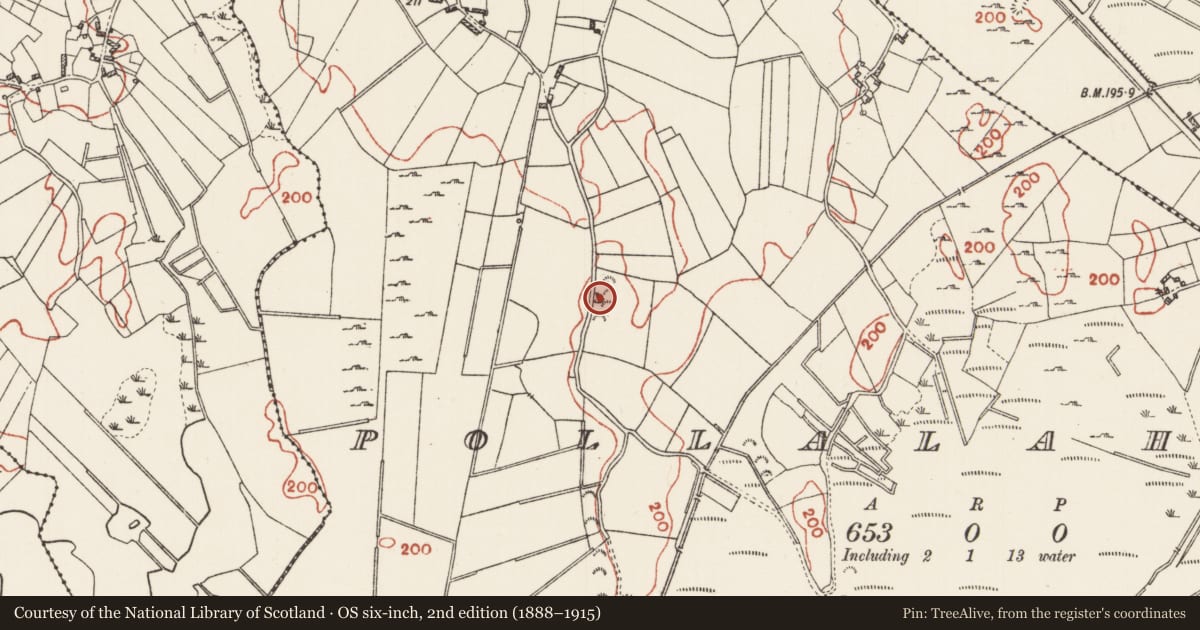 Ordnance Survey six-inch map, 2nd edition (1888–1915) covering the location of Sweathouse, Pollalaher, County Roscommon, with a pin at the register's coordinates