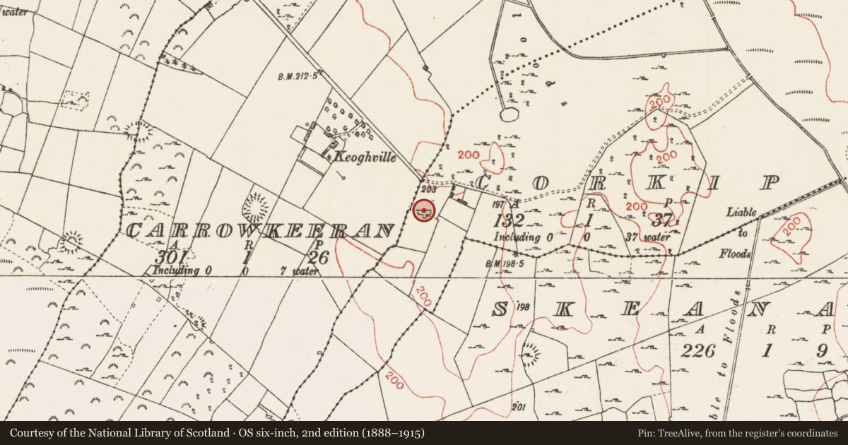 Ordnance Survey six-inch map, 2nd edition (1888–1915) covering the location of House - 17th/18th century, Corkip, County Roscommon, with a pin at the register's coordinates