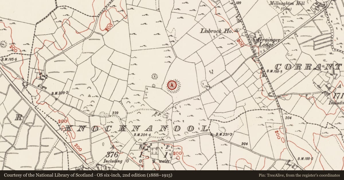Ordnance Survey six-inch map, 2nd edition (1888–1915) covering the location of Ringfort - rath, Knocknanool, County Roscommon, with a pin at the register's coordinates