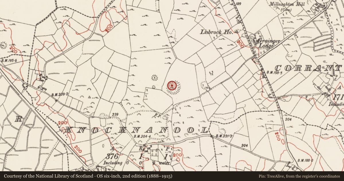 Ordnance Survey six-inch map, 2nd edition (1888–1915) covering the location of Children's burial ground, Knocknanool, County Roscommon, with a pin at the register's coordinates