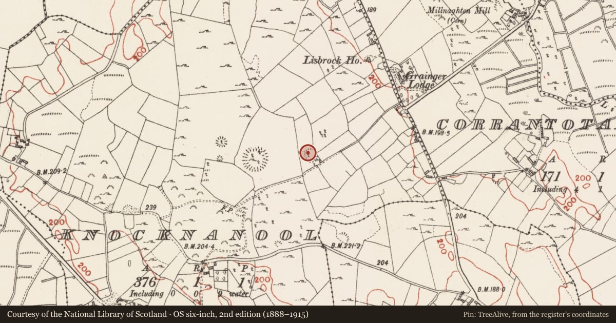Ordnance Survey six-inch map, 2nd edition (1888–1915) covering the location of Ringfort - cashel, Knocknanool, County Roscommon, with a pin at the register's coordinates