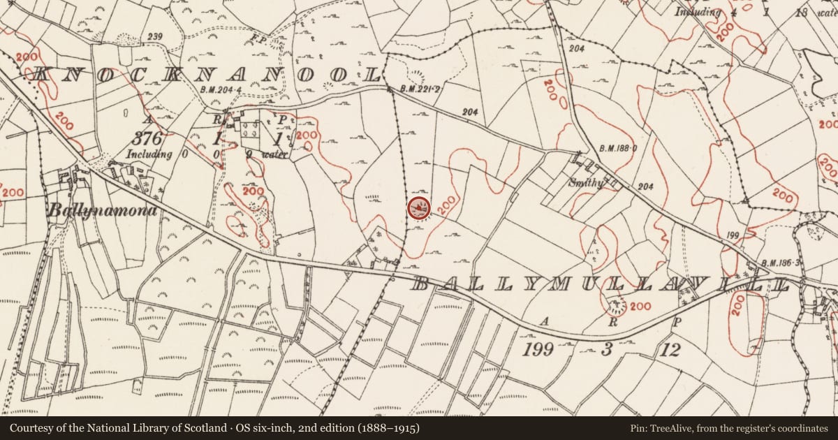 Ordnance Survey six-inch map, 2nd edition (1888–1915) covering the location of Ringfort - cashel, Ballymullavill, County Roscommon, with a pin at the register's coordinates