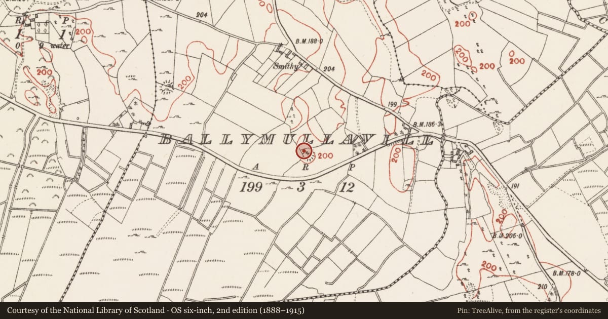Ordnance Survey six-inch map, 2nd edition (1888–1915) covering the location of Ringfort - cashel, Ballymullavill, County Roscommon, with a pin at the register's coordinates
