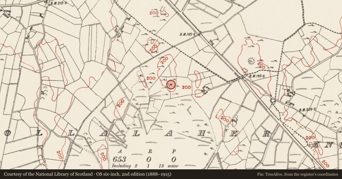 Ordnance Survey six-inch map, 2nd edition (1888–1915) covering the location of Windmill, Pollalaher, County Roscommon, with a pin at the register's coordinates