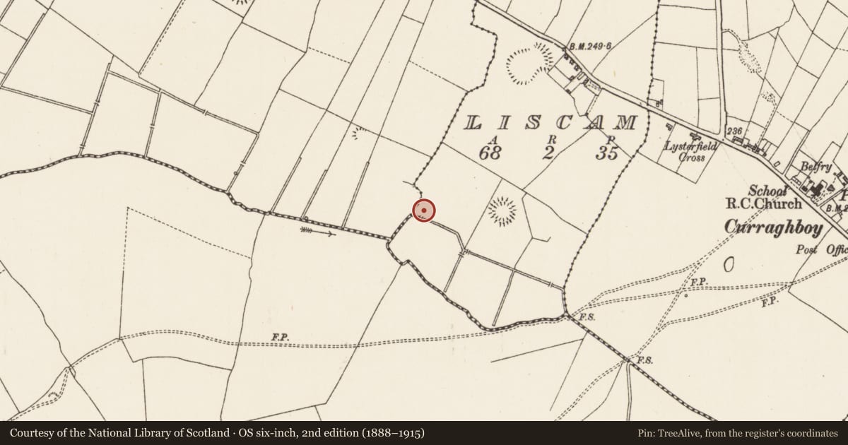 Ordnance Survey six-inch map, 2nd edition (1888–1915) covering the location of Burnt mound, Liscam, County Roscommon, with a pin at the register's coordinates