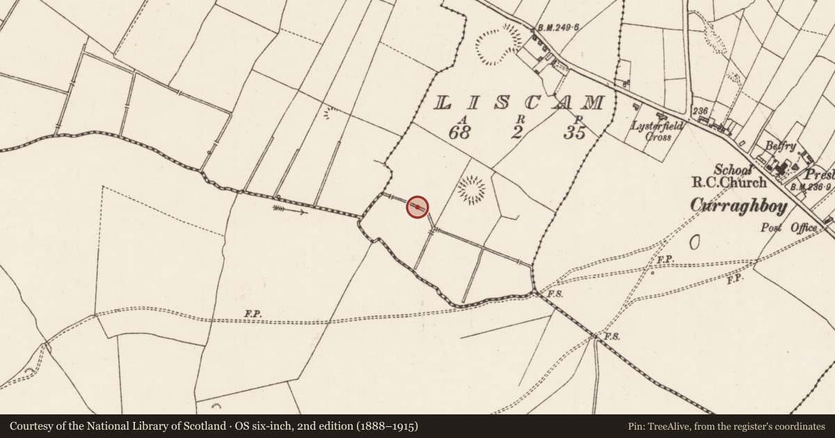 Ordnance Survey six-inch map, 2nd edition (1888–1915) covering the location of Burnt mound, Liscam, County Roscommon, with a pin at the register's coordinates
