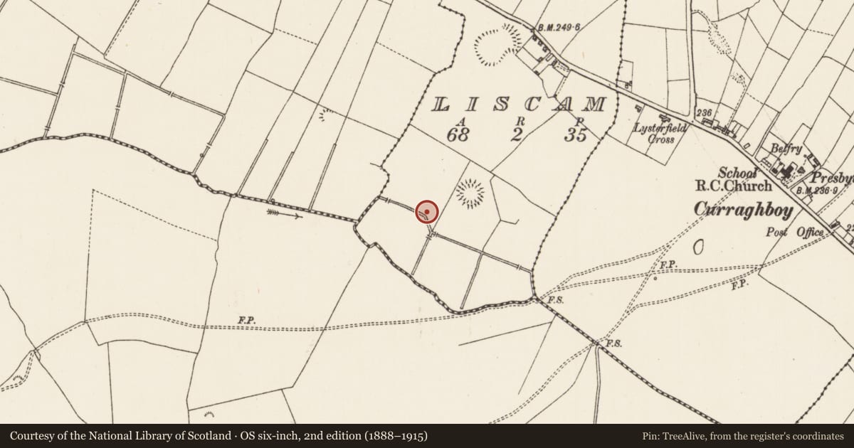 Ordnance Survey six-inch map, 2nd edition (1888–1915) covering the location of Burnt mound, Liscam, County Roscommon, with a pin at the register's coordinates