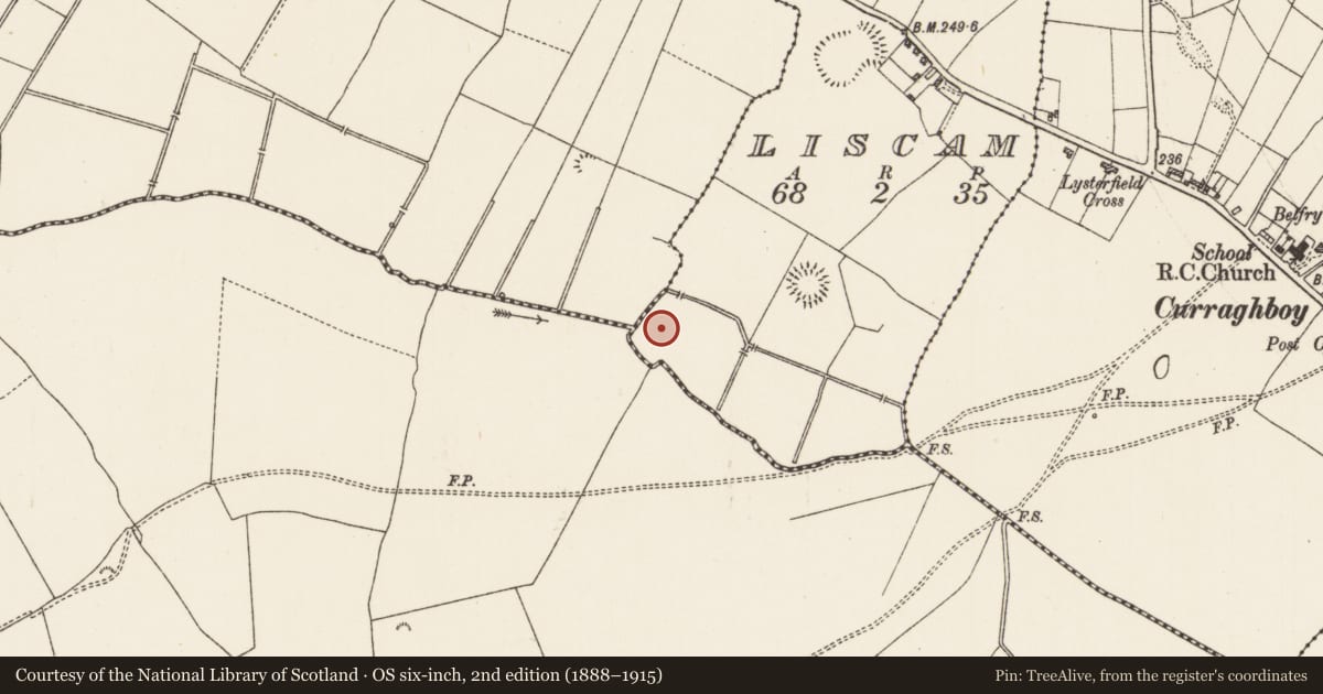 Ordnance Survey six-inch map, 2nd edition (1888–1915) covering the location of Water mill - horizontal-wheeled, Liscam, County Roscommon, with a pin at the register's coordinates