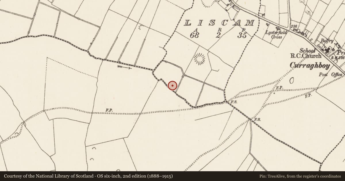 Ordnance Survey six-inch map, 2nd edition (1888–1915) covering the location of Burnt mound, Liscam, County Roscommon, with a pin at the register's coordinates