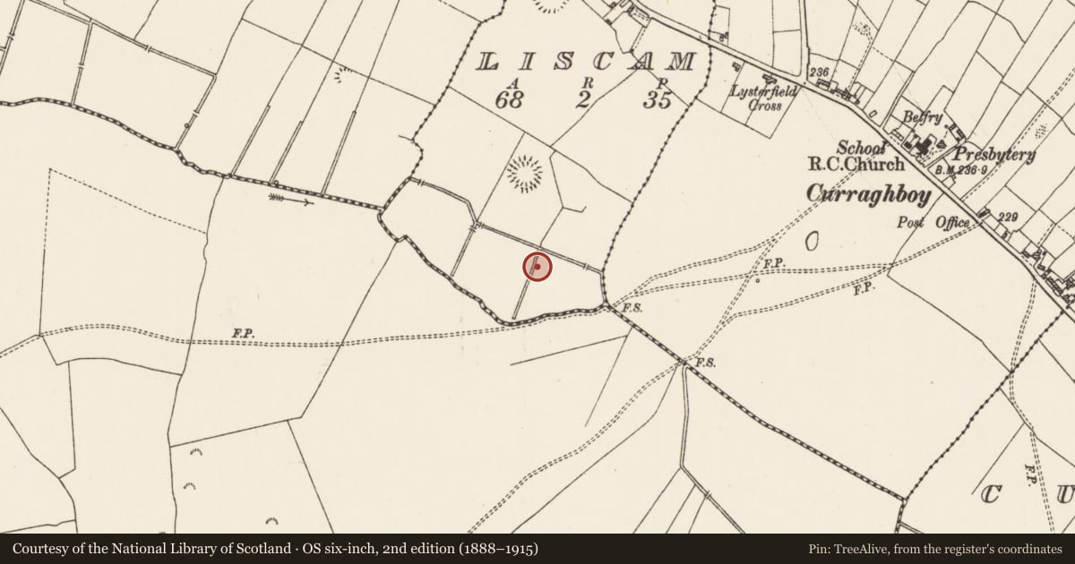 Ordnance Survey six-inch map, 2nd edition (1888–1915) covering the location of Burnt mound, Liscam, County Roscommon, with a pin at the register's coordinates