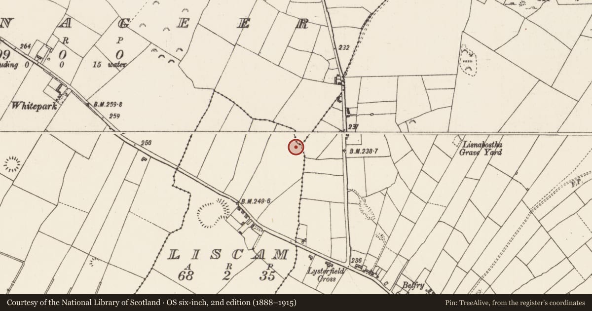 Ordnance Survey six-inch map, 2nd edition (1888–1915) covering the location of Ringfort - rath, County Roscommon, with a pin at the register's coordinates