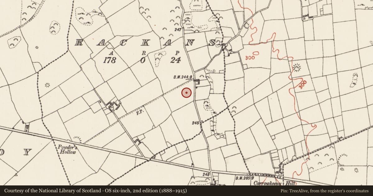 Ordnance Survey six-inch map, 2nd edition (1888–1915) covering the location of Ringfort - rath, Rackans, County Roscommon, with a pin at the register's coordinates