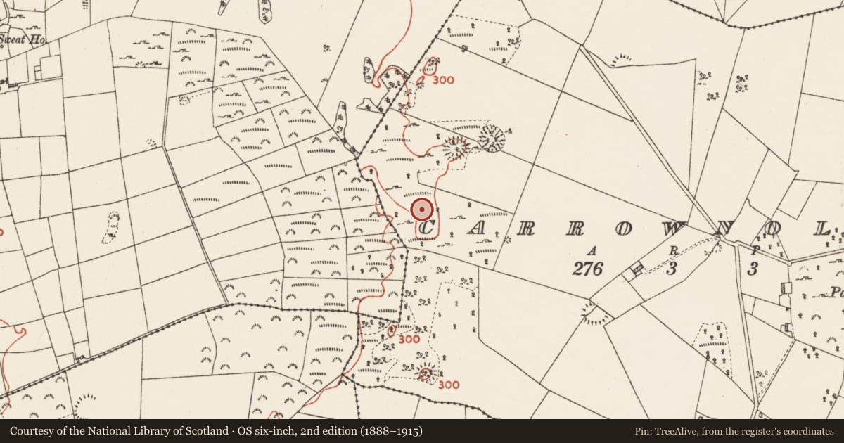 Ordnance Survey six-inch map, 2nd edition (1888–1915) covering the location of Ringfort - cashel, Carrownolan, County Roscommon, with a pin at the register's coordinates