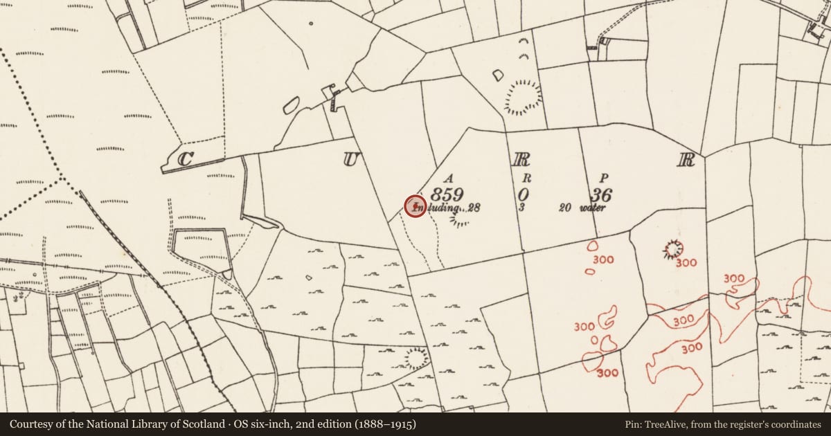 Ordnance Survey six-inch map, 2nd edition (1888–1915) covering the location of Ringfort - rath, Curry, County Roscommon, with a pin at the register's coordinates