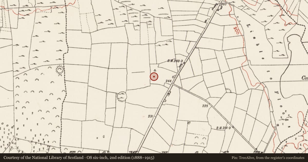 Ordnance Survey six-inch map, 2nd edition (1888–1915) covering the location of Ringfort - rath, Tawnagh, County Roscommon, with a pin at the register's coordinates