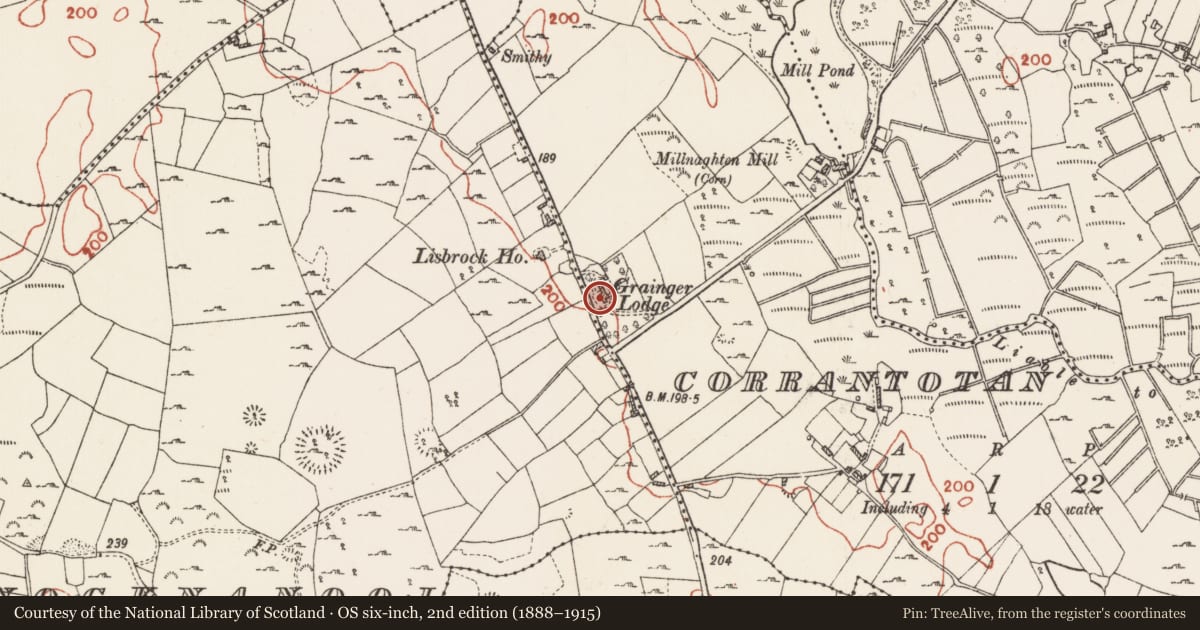 Ordnance Survey six-inch map, 2nd edition (1888–1915) covering the location of Armorial plaque, Corrantotan, County Roscommon, with a pin at the register's coordinates