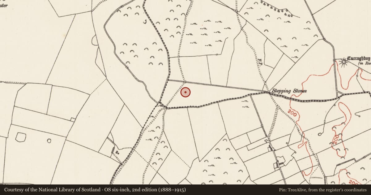 Ordnance Survey six-inch map, 2nd edition (1888–1915) covering the location of Burnt mound, Curraghboy, County Roscommon, with a pin at the register's coordinates