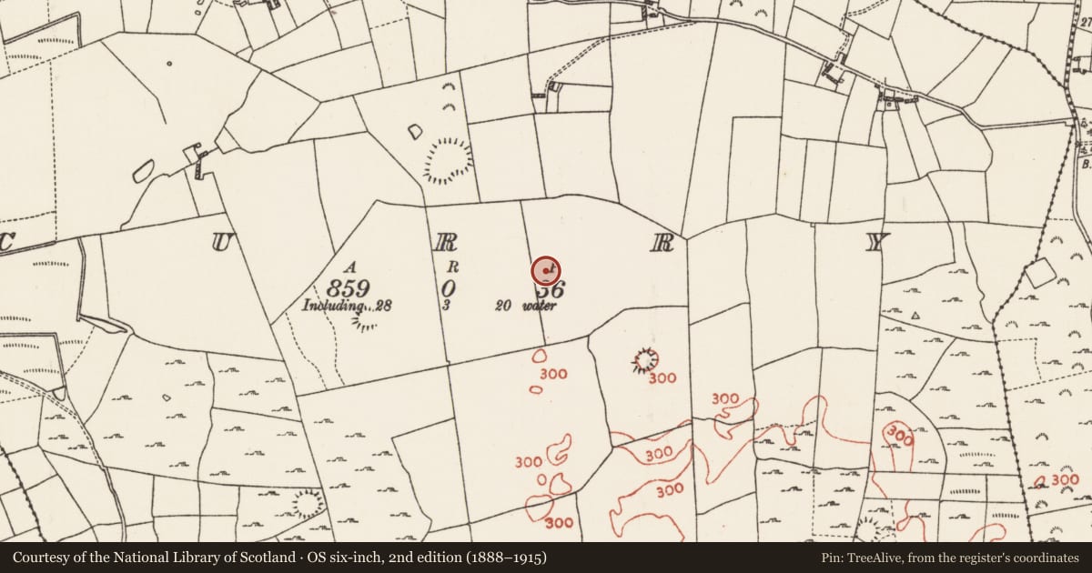 Ordnance Survey six-inch map, 2nd edition (1888–1915) covering the location of Ringfort - rath, Curry, County Roscommon, with a pin at the register's coordinates