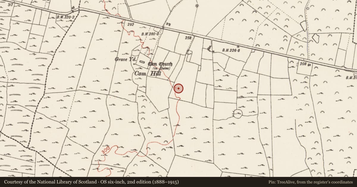 Ordnance Survey six-inch map, 2nd edition (1888–1915) covering the location of Enclosure, Cam, County Roscommon, with a pin at the register's coordinates