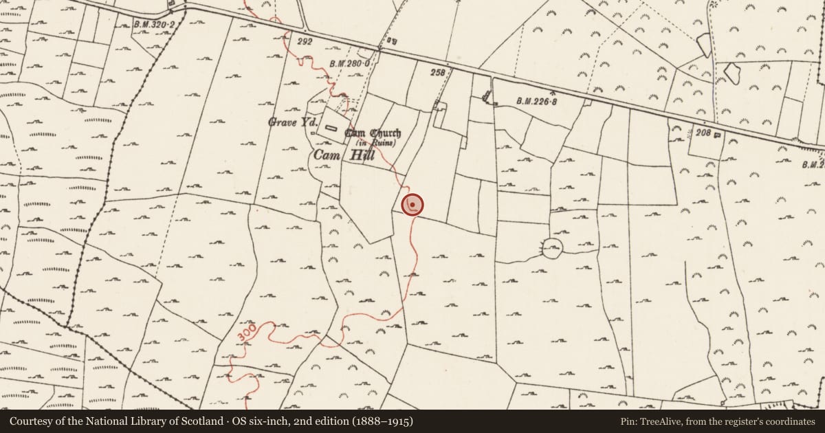 Ordnance Survey six-inch map, 2nd edition (1888–1915) covering the location of Enclosure, Cam, County Roscommon, with a pin at the register's coordinates