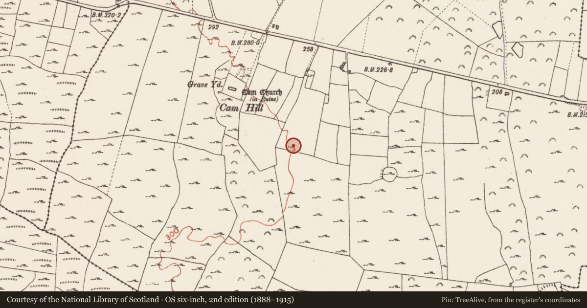 Ordnance Survey six-inch map, 2nd edition (1888–1915) covering the location of House - indeterminate date, Cam, County Roscommon, with a pin at the register's coordinates