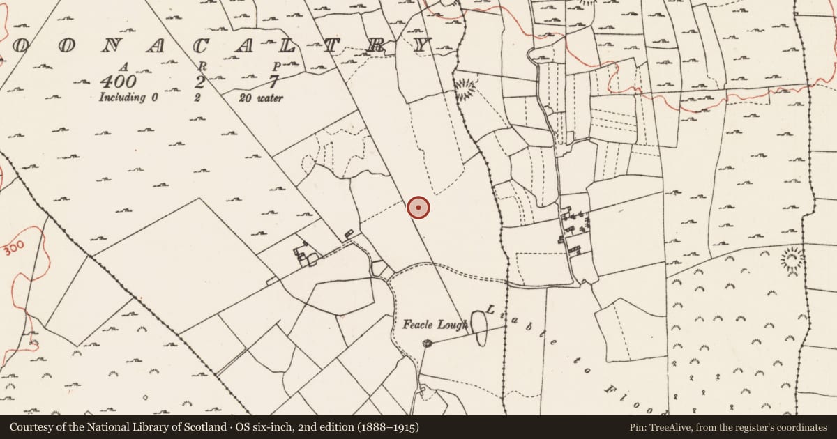 Ordnance Survey six-inch map, 2nd edition (1888–1915) covering the location of Barrow - mound barrow, Cloonacaltry, County Roscommon, with a pin at the register's coordinates