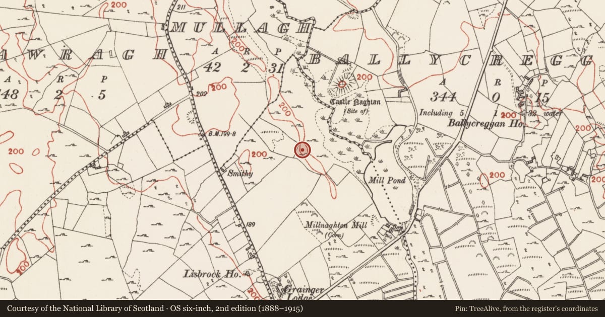 Ordnance Survey six-inch map, 2nd edition (1888–1915) covering the location of Excavation - miscellaneous, Corrantotan, County Roscommon, with a pin at the register's coordinates