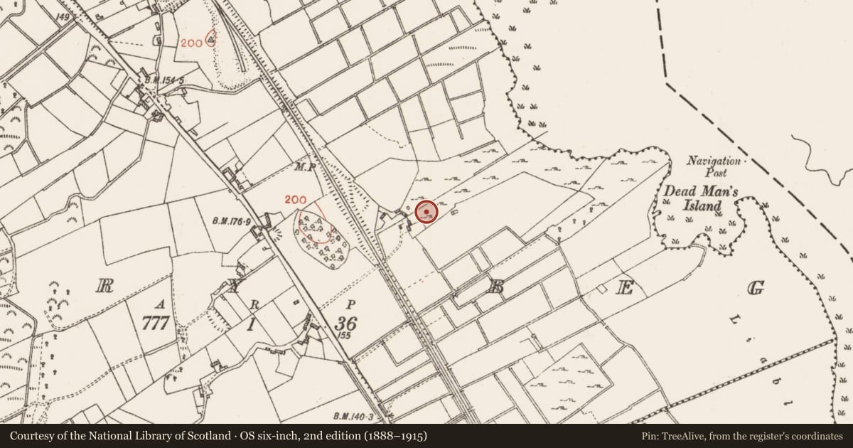 Ordnance Survey six-inch map, 2nd edition (1888–1915) covering the location of Road - road/trackway, Barry Beg, County Roscommon, with a pin at the register's coordinates