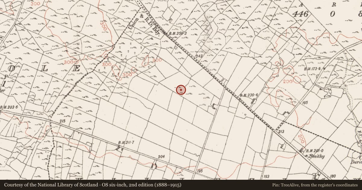 Ordnance Survey six-inch map, 2nd edition (1888–1915) covering the location of Ringfort - rath, Killeglan, County Roscommon, with a pin at the register's coordinates