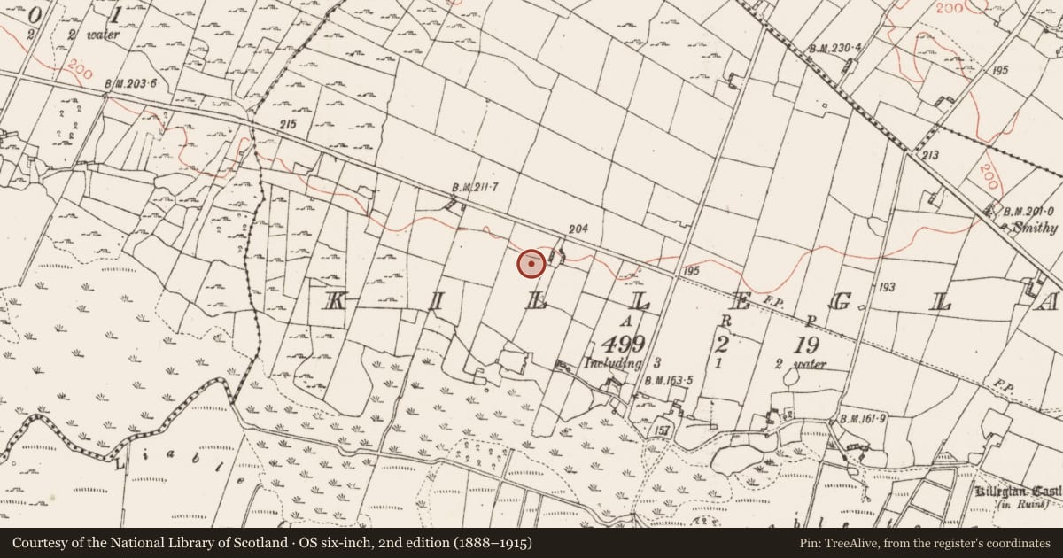 Ordnance Survey six-inch map, 2nd edition (1888–1915) covering the location of Ringfort - cashel, Killeglan, County Roscommon, with a pin at the register's coordinates
