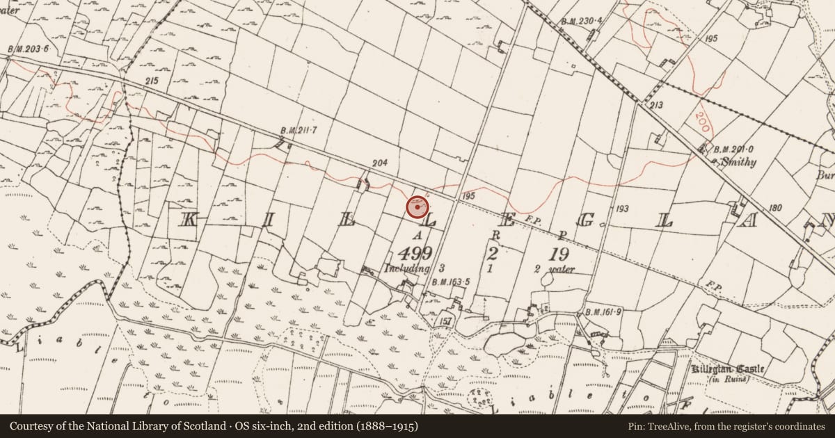 Ordnance Survey six-inch map, 2nd edition (1888–1915) covering the location of Ringfort - cashel, Killeglan, County Roscommon, with a pin at the register's coordinates