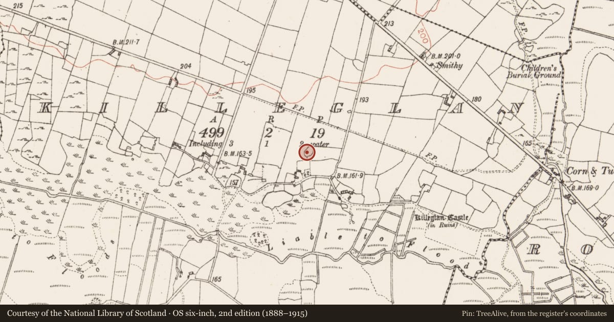 Ordnance Survey six-inch map, 2nd edition (1888–1915) covering the location of Ringfort - cashel, Killeglan, County Roscommon, with a pin at the register's coordinates