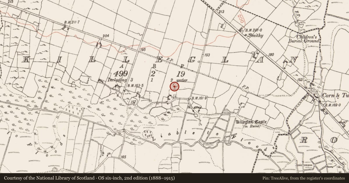 Ordnance Survey six-inch map, 2nd edition (1888–1915) covering the location of Children's burial ground, Killeglan, County Roscommon, with a pin at the register's coordinates