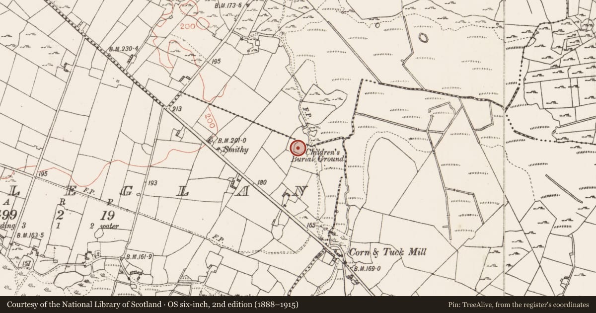 Ordnance Survey six-inch map, 2nd edition (1888–1915) covering the location of Children's burial ground, Killeglan, Lugboy, County Roscommon, with a pin at the register's coordinates