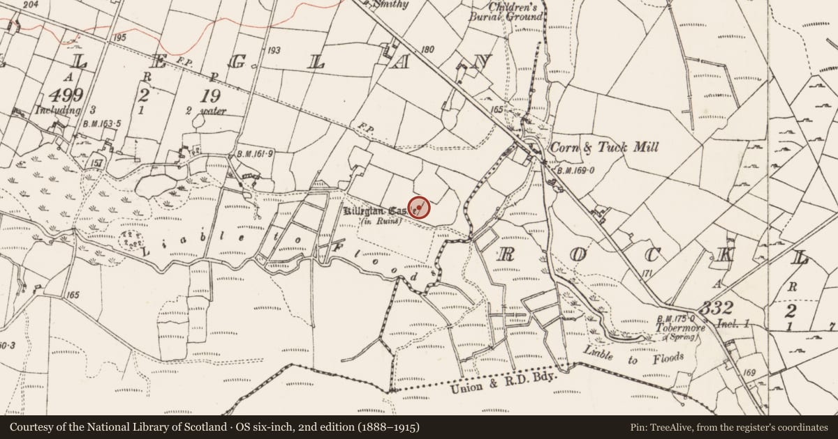 Ordnance Survey six-inch map, 2nd edition (1888–1915) covering the location of Castle - unclassified, Killeglan, County Roscommon, with a pin at the register's coordinates
