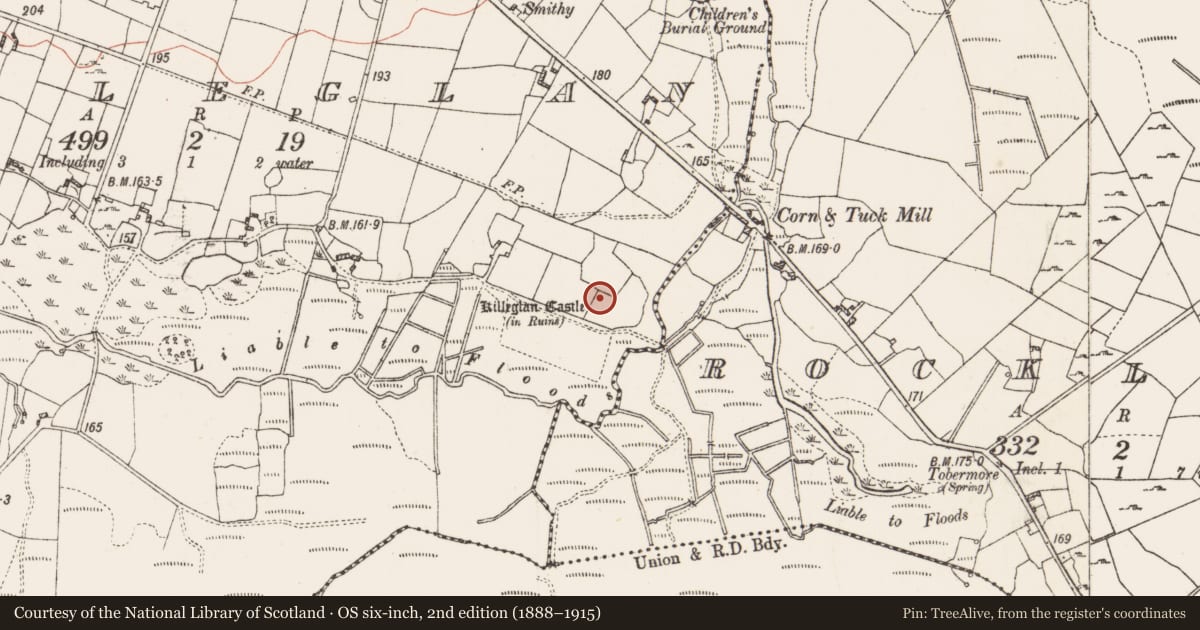 Ordnance Survey six-inch map, 2nd edition (1888–1915) covering the location of Bawn, Killeglan, County Roscommon, with a pin at the register's coordinates