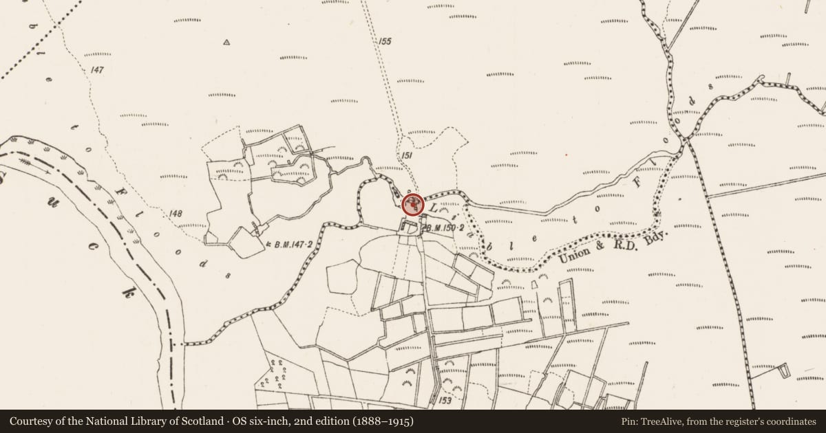 Ordnance Survey six-inch map, 2nd edition (1888–1915) covering the location of Mill - unclassified, Cregganycarna, County Roscommon, with a pin at the register's coordinates