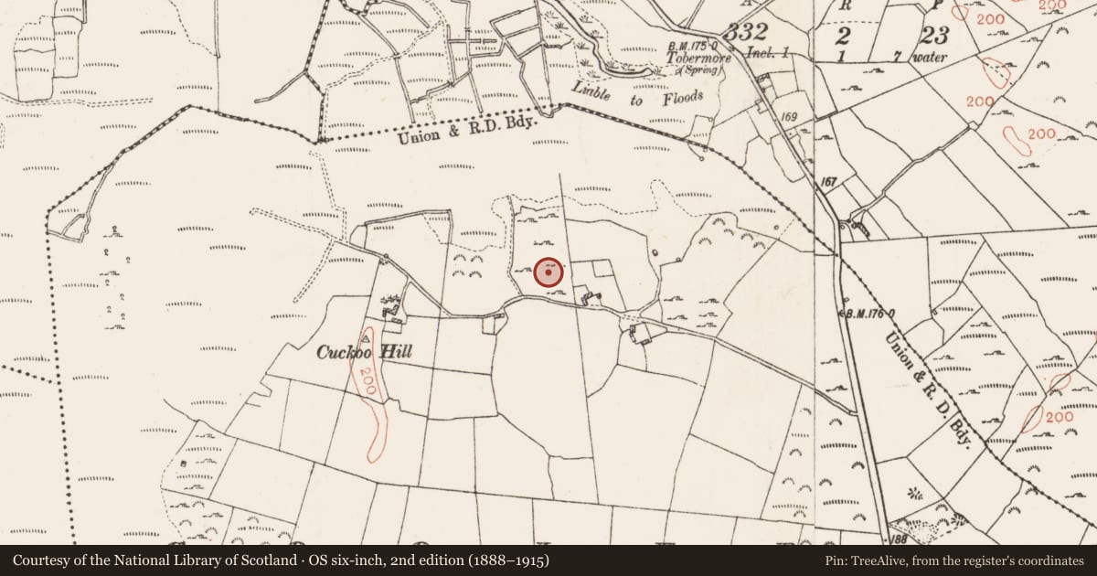 Ordnance Survey six-inch map, 2nd edition (1888–1915) covering the location of Ringfort - rath, Coolfree, County Roscommon, with a pin at the register's coordinates