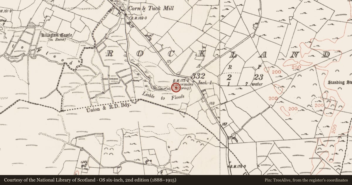Ordnance Survey six-inch map, 2nd edition (1888–1915) covering the location of Well, Rockland, County Roscommon, with a pin at the register's coordinates