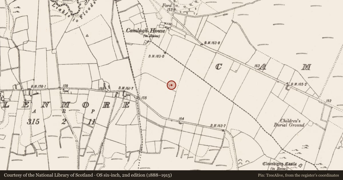 Ordnance Survey six-inch map, 2nd edition (1888–1915) covering the location of Ringfort - rath, Cloonbigny, County Roscommon, with a pin at the register's coordinates