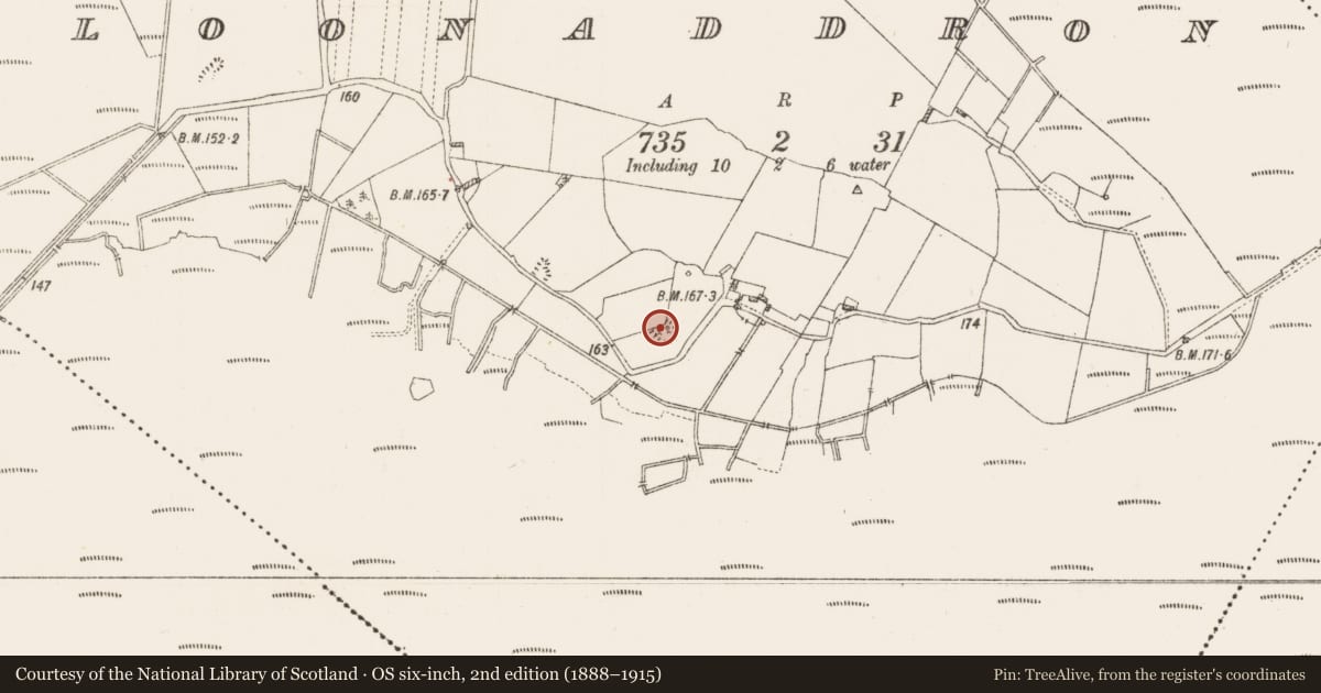 Ordnance Survey six-inch map, 2nd edition (1888–1915) covering the location of Children's burial ground, Cloonaddron, County Roscommon, with a pin at the register's coordinates