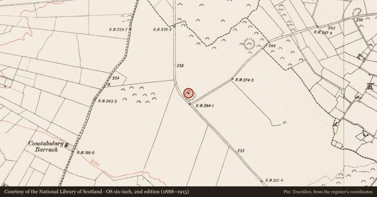 Ordnance Survey six-inch map, 2nd edition (1888–1915) covering the location of Ringfort - rath, Gortanabla, County Roscommon, with a pin at the register's coordinates