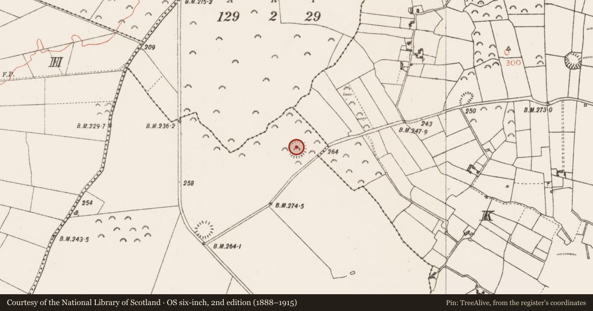 Ordnance Survey six-inch map, 2nd edition (1888–1915) covering the location of Ringfort - rath, Gortanabla, County Roscommon, with a pin at the register's coordinates
